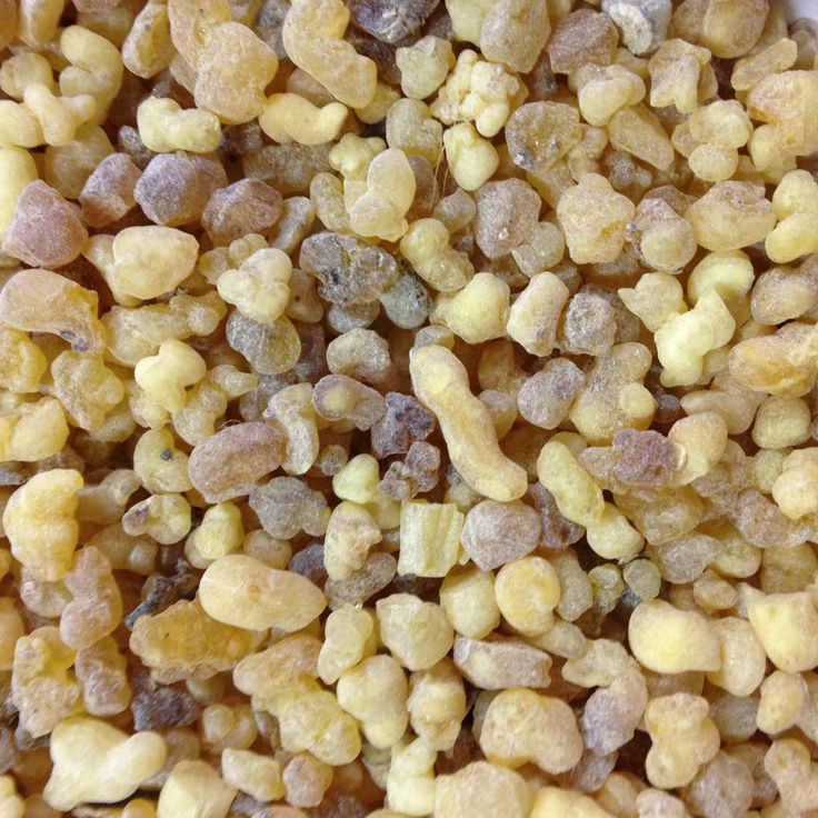 Encens sève de gommier